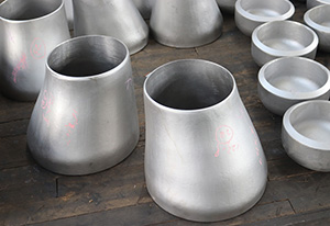 Redutor excêntrico de aço inox